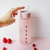520 Ml Frosted Water Drinking Bottle